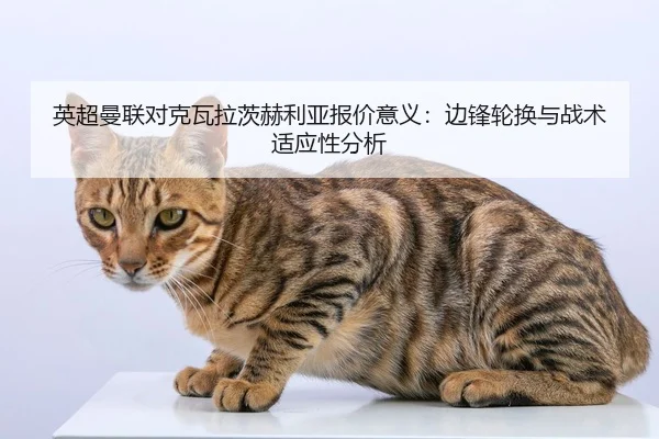 英超曼联对克瓦拉茨赫利亚报价意义：边锋轮换与战术适应性分析