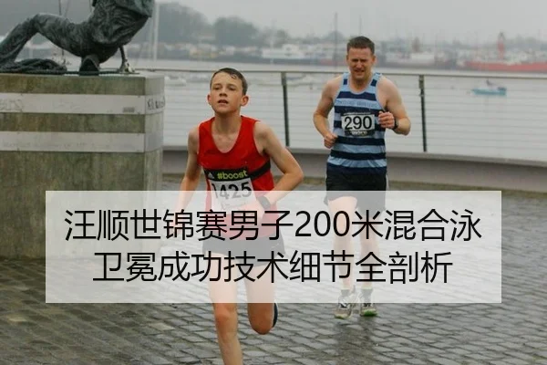 汪顺世锦赛男子200米混合泳卫冕成功技术细节全剖析