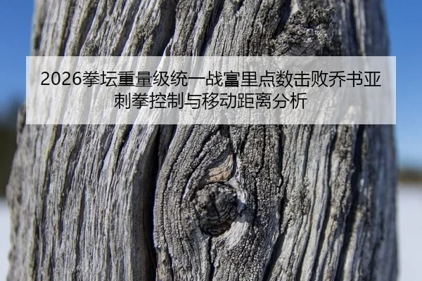 quan-tan-zhong-liang-ji-tong-yi-zhan-fu-li-dian-shu-ji-bai-qiao-shu-ya-ci-quan-kong-zhi-yu-yi-dong-ju-li-fen-xi-3-163.jpg