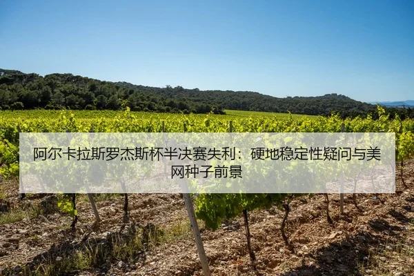 a-er-ka-la-si-luo-jie-si-bei-ban-jue-sai-shi-li-ying-di-wen-ding-xing-yi-wen-yu-mei-wang-zhong-zi-qian-jing-3-277.jpg