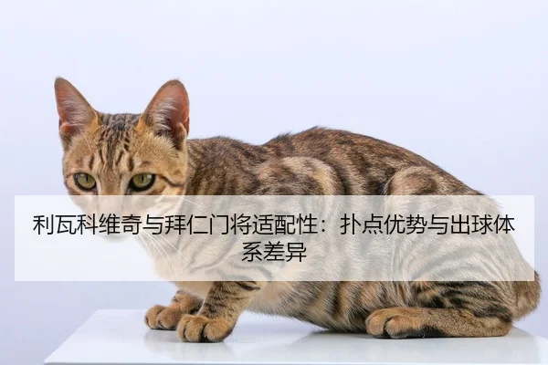 利瓦科维奇与拜仁门将适配性：扑点优势与出球体系差异